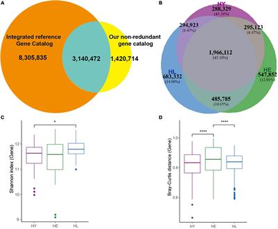 Gut Microbiota Composition and Metabolic Potential of Long-Living People in China